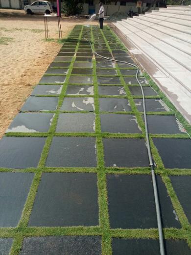 Paving Stone