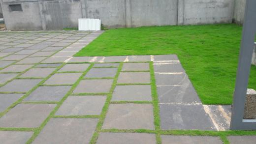 Paving Stone