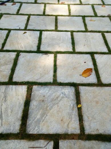 Paving Stone