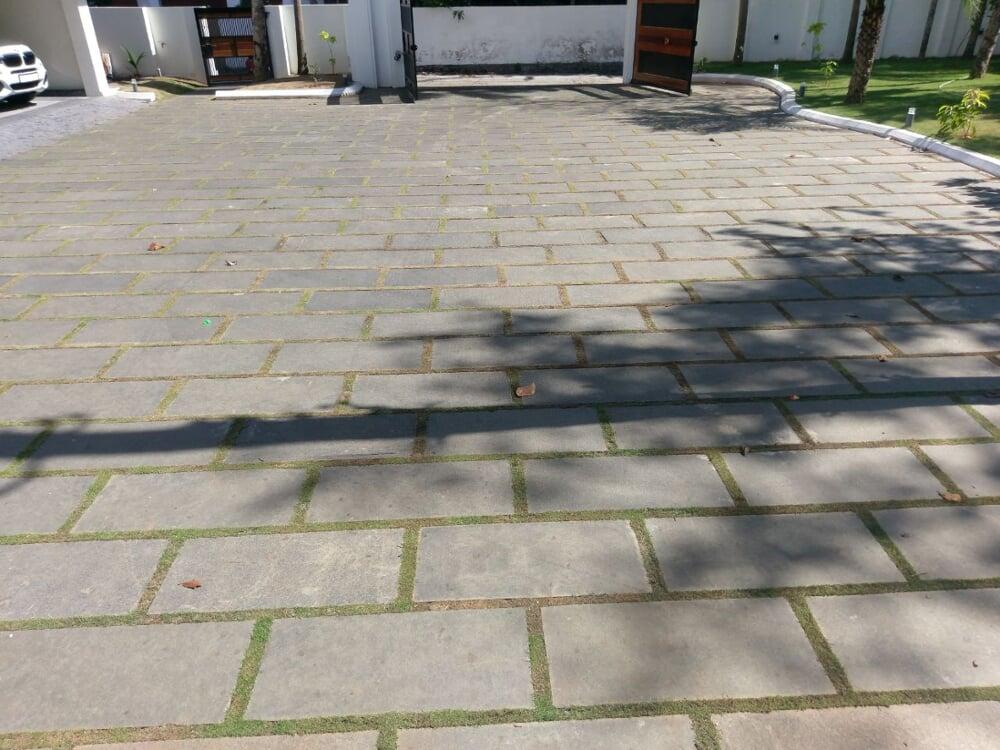 Paving Stone